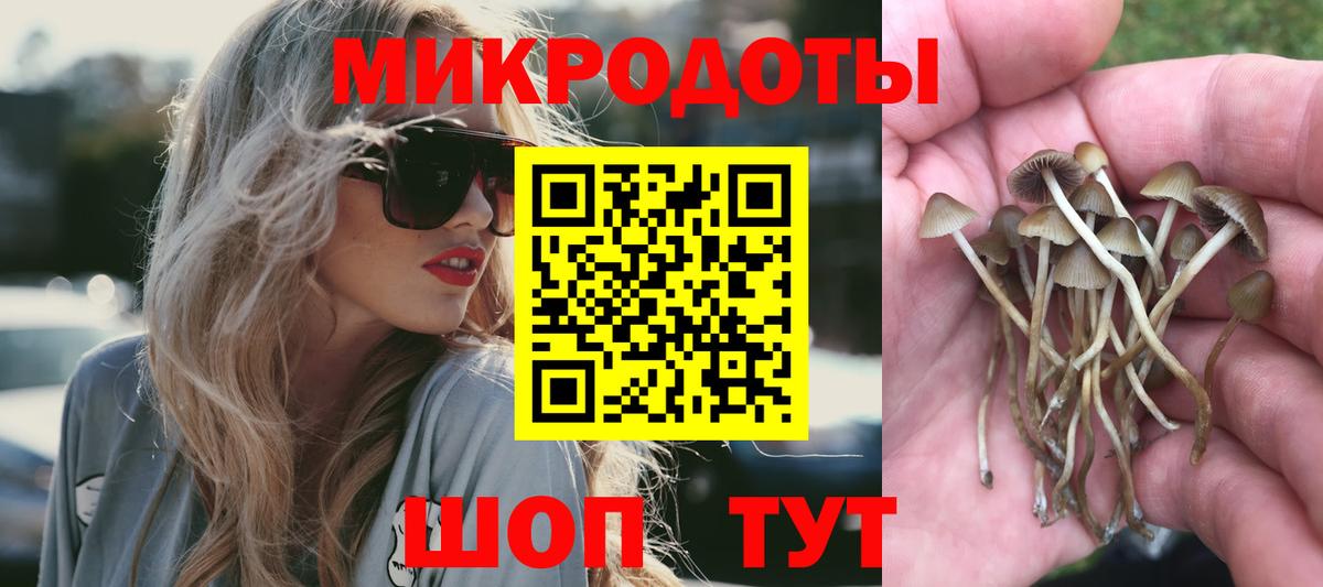 Псилоцибиновые грибы Magic Shrooms Рубцовск